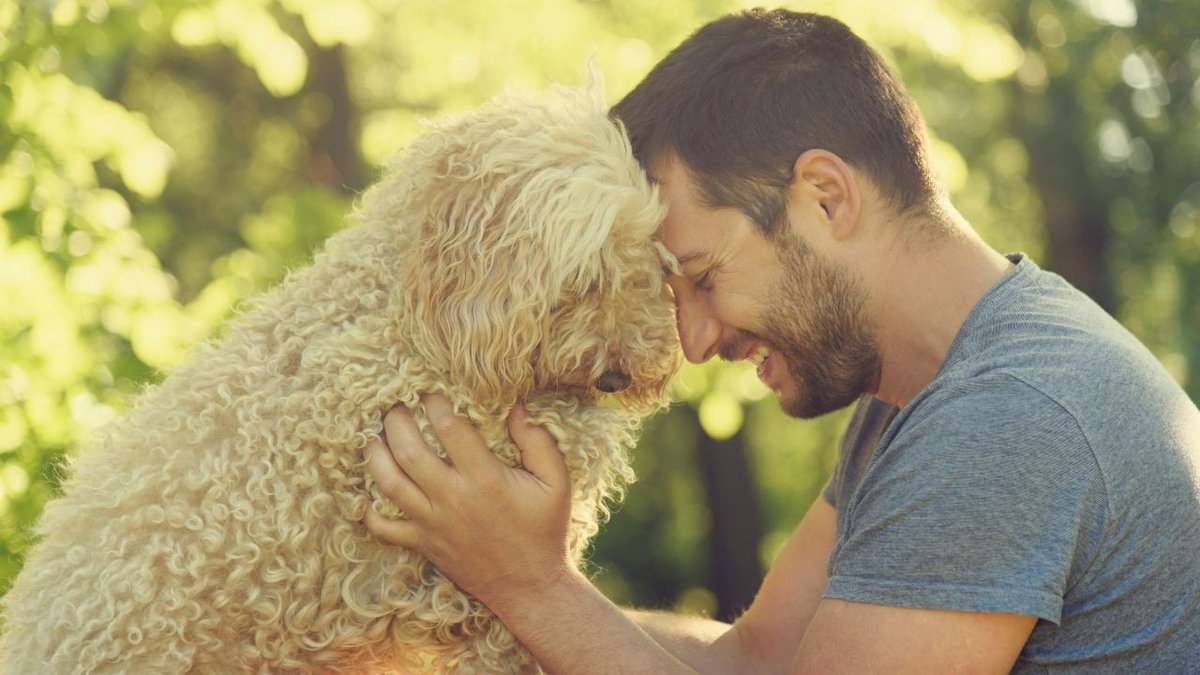 Navigating Setbacks and Building Resilience for Stronger Growth